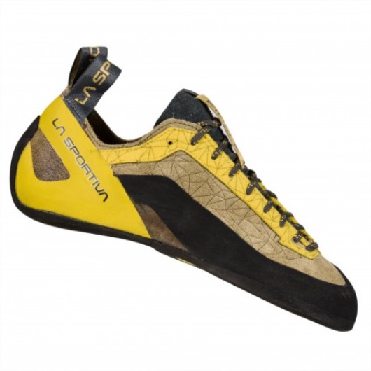 La Finale Sportive De La Mousse D'aloès