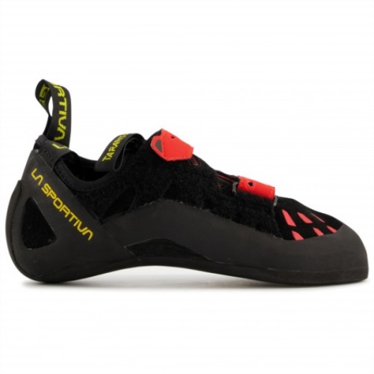 Tarentule Le Coquelicot Noir Sportif