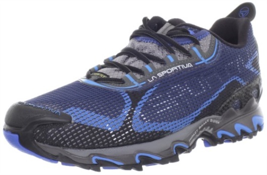 Wildcat 2.0 Gtx Chaussure Trail Homme Noir Bleu La Sportiva