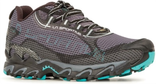 Le Trail Sportif Aqua Wildcat 2.0 Gtx Carbone